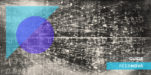 Salesforce Data Quality Guide
